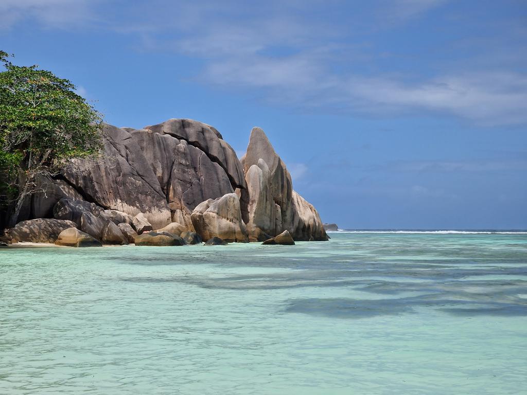 Tadeja Kuhar tweet media