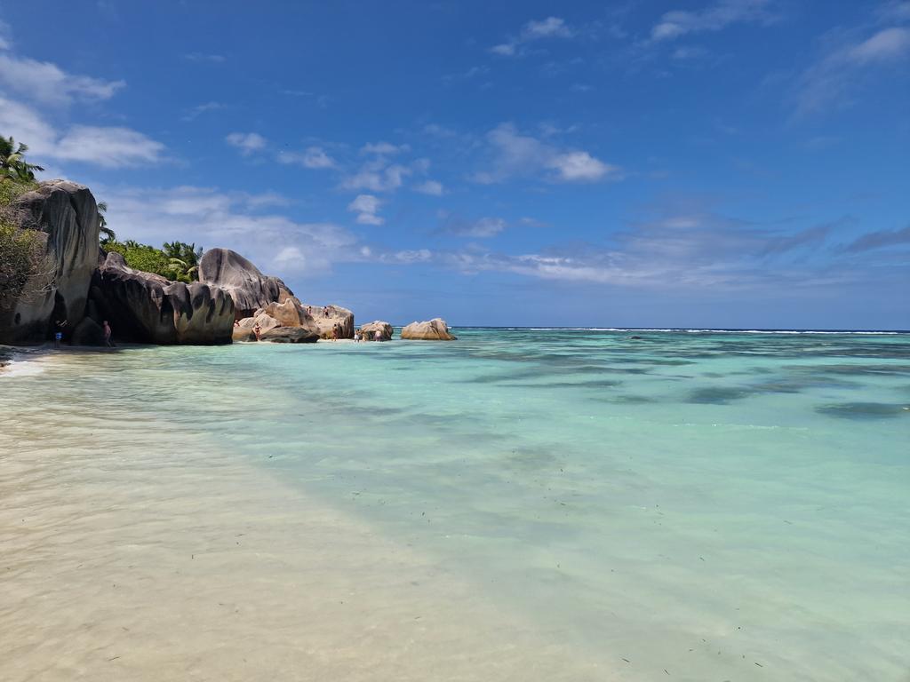 Tadeja Kuhar tweet media