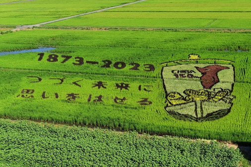 chi_bakun_chiba's tweet photo. みんな～！ #千葉県誕生150周年 記念 田んぼアート in 山武市の鑑賞祭を7/29(土)に開催するよ。5月にみんなで田植えをして #千葉商科大学 のお友だちが丁寧にお世話してくれていた稲が育って見ごろになったんだ！完成した田んぼアートを見に来てね✨
https://t.co/lkTSK6lKLa https://t.co/hXxYpEBWgp