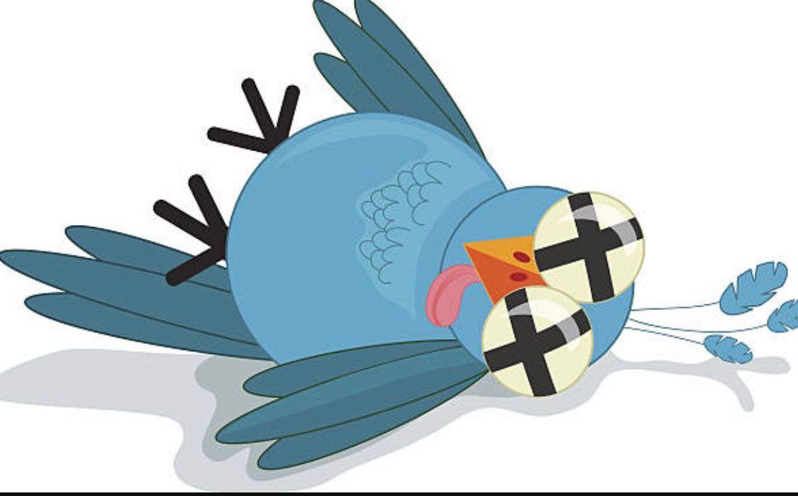 NAryaputri's tweet photo. A dead bird coming up!    
#deadbird #twitterxx https://t.co/zrFYsHgiaD