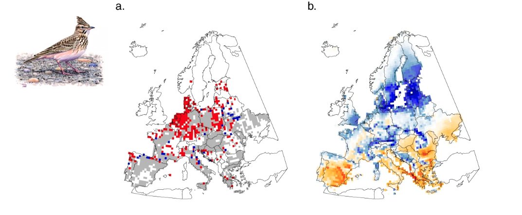 BOU π©π»βπ«π¨πΏβπ«π§π½π³π½ββοΈ π (@ibis_journal) on Twitter photo Local colonisations and extinctions of European birds are poorly explained by changes in climate suitability | nature.com/articles/s4146β¦ | <a href="/NatureComms/">Nature Communications</a> | #ornithology Local colonisations and extinctions of European birds are poorly explained by changes in climate suitability | nature.com/articles/s4146β¦ | <a href="/NatureComms/">Nature Communications</a> | #ornithology
