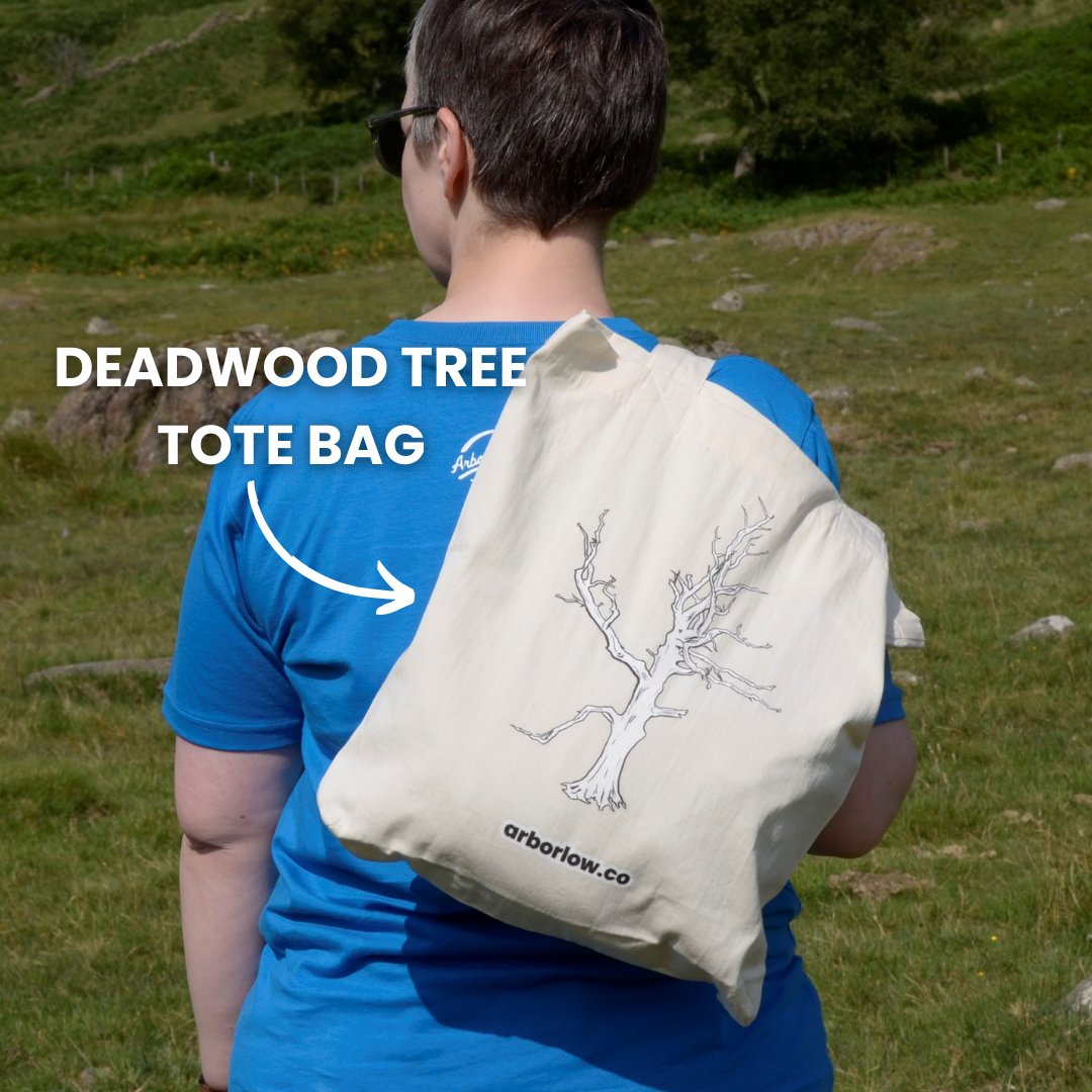 ArborLowCo's tweet photo. I’ve been working hard on some new stuff and here it is: the #LangdalePikes Peak Tee, #Ingleborough Peak Tee and Deadwood Tree #Tote Bag: hop over to https://t.co/FycT3NR9bk to check them out...

Let me know what you think or tag a friend who’d look great rocking one of these 👌 https://t.co/T7y5SQosme