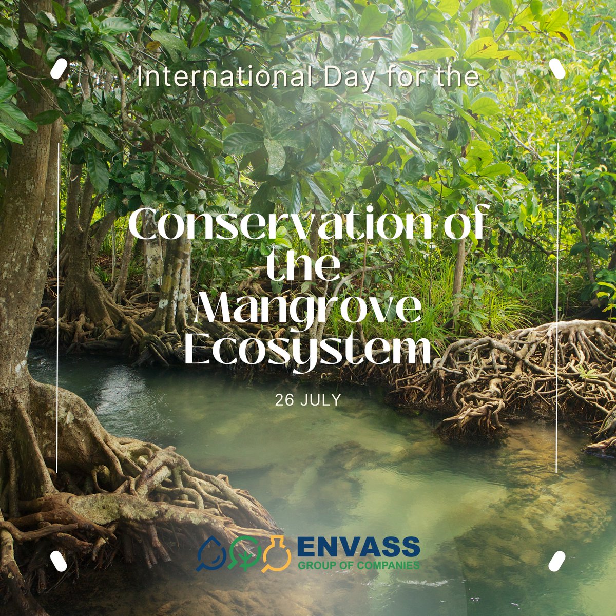 Happy International Day for the Conservation of the Mangrove Ecosystem

Raise awareness of the importance of mangrove ecosystems as “a unique, special and vulnerable ecosystem”
#MangroveConservation #InternationalMangroveDay #ProtectOurEcosystems #BiodiversityMatters
