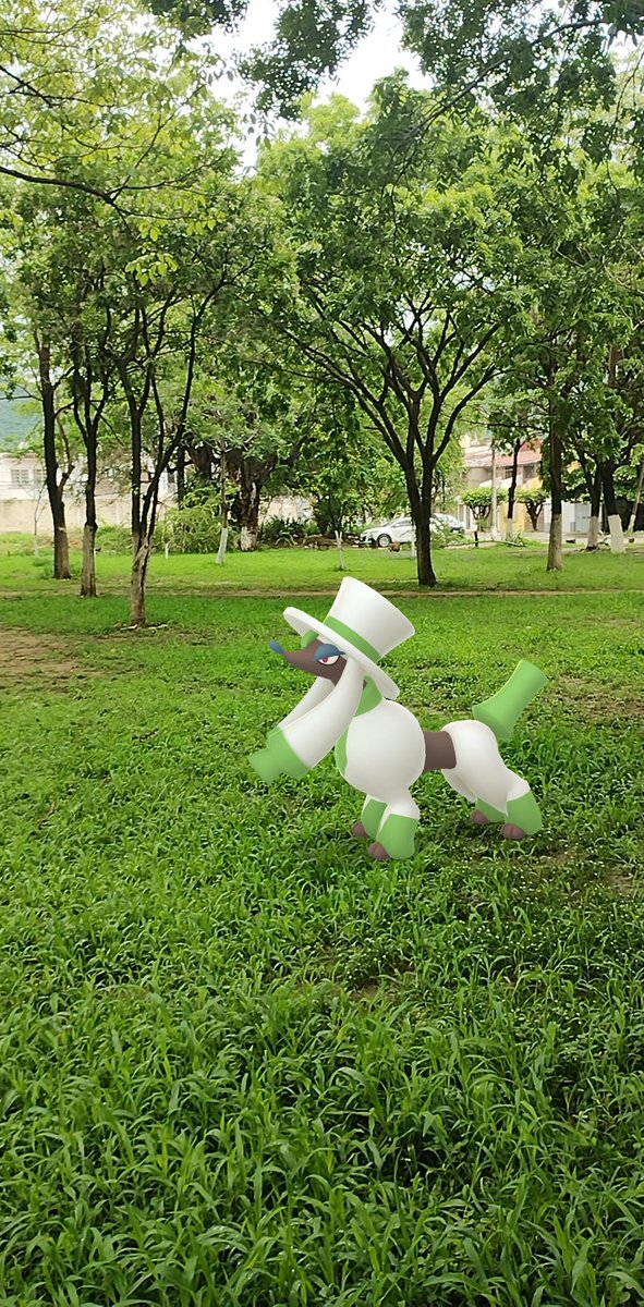 PokeTrainerMim's tweet photo. Hoy salieron al parque estas hermosuras. 
#pokemon #GOsnapshot #PokemonGO #furfrou #furfroustyles https://t.co/V7Yl2emZER