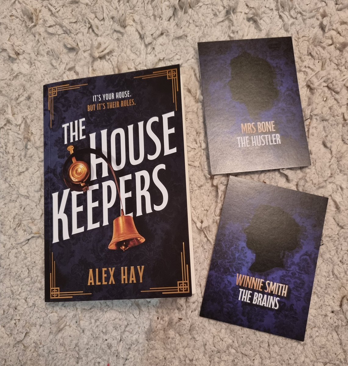 I'm reviewing #TheHouseKeepers by #AlexHay over on Instagram today. 
Thank you @Bookywookydooda for sending this copy to review.
Out Now! 
instagram.com/p/CvJlCnCoTTV/…
#books #BookTwitter #bookbloggers