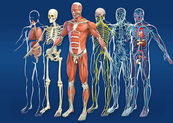 Humanitz_IP's tweet image. But even with All these
Resources, Organizations &amp;amp; Individuals working around the clock for many years.

We are yet to figure out a #Single_System, #Program, an #Idea to work as a #Single_Unit with #Efficiency &amp;amp; #Permanent Impact to #Achieve an even #Greater_Goal, than the basics