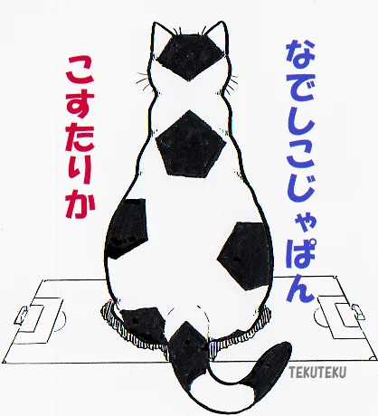 #なでしこジャパン いいね!⚽
 #女子W杯 日本🇯🇵vs. 🇨🇷コスタリカ 