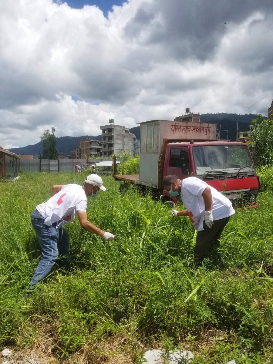 IFRCAsiaPacific's tweet photo. As dengue cases 🦟🦟continue to rise, Nepal Red Cross volunteers are helping with the government's search and destroy campaign for prevention purposes.

Teams look out for mosquito breeding areas and quickly clean and disinfect the surroundings thoroughly. https://t.co/2UgJFk1c7I