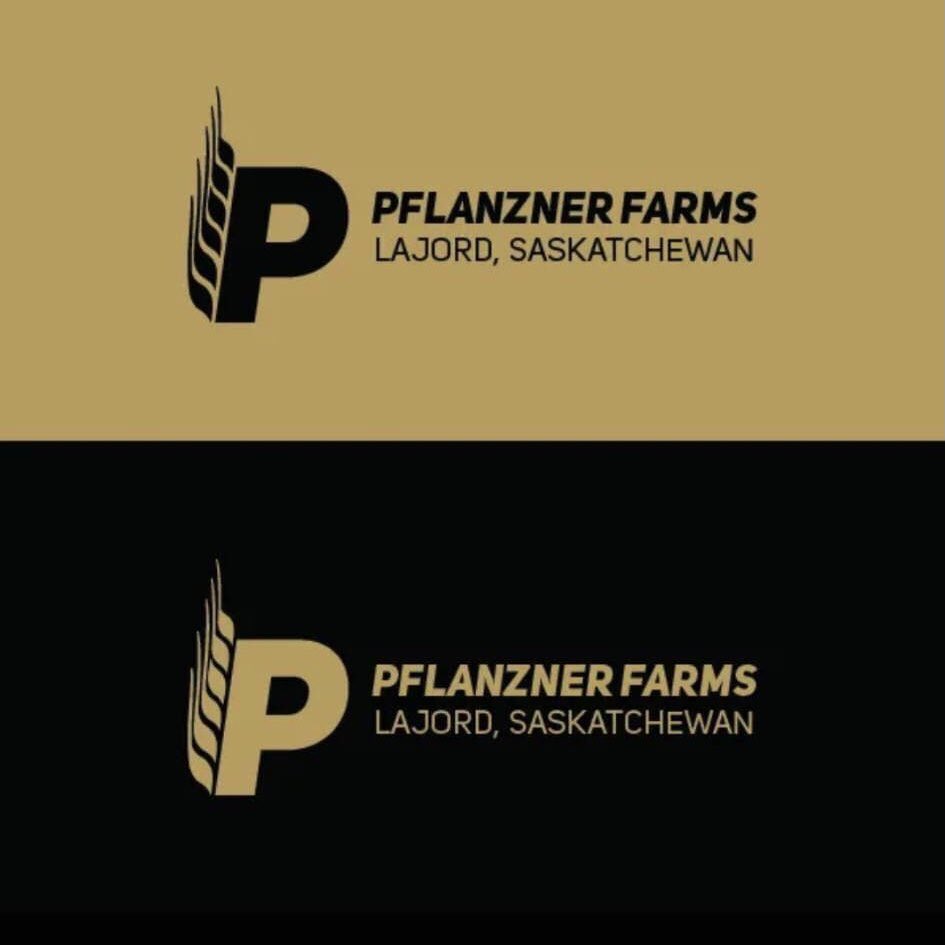 David J. Carnegie tweet media