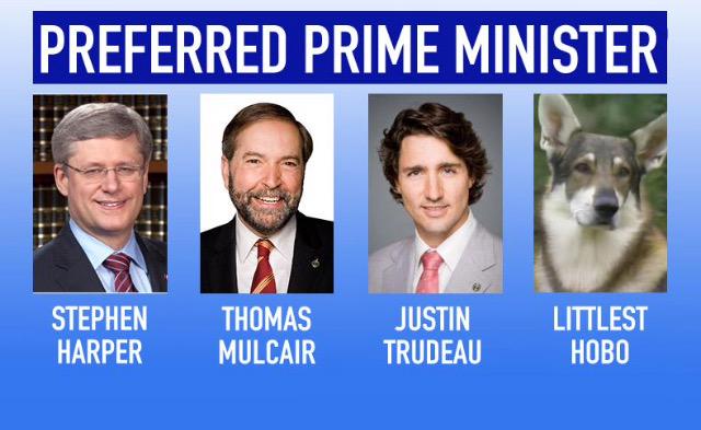 <a href="/TRHLofficial/">The Redheaded libertarian</a> Definitely The Littlest Hobo!