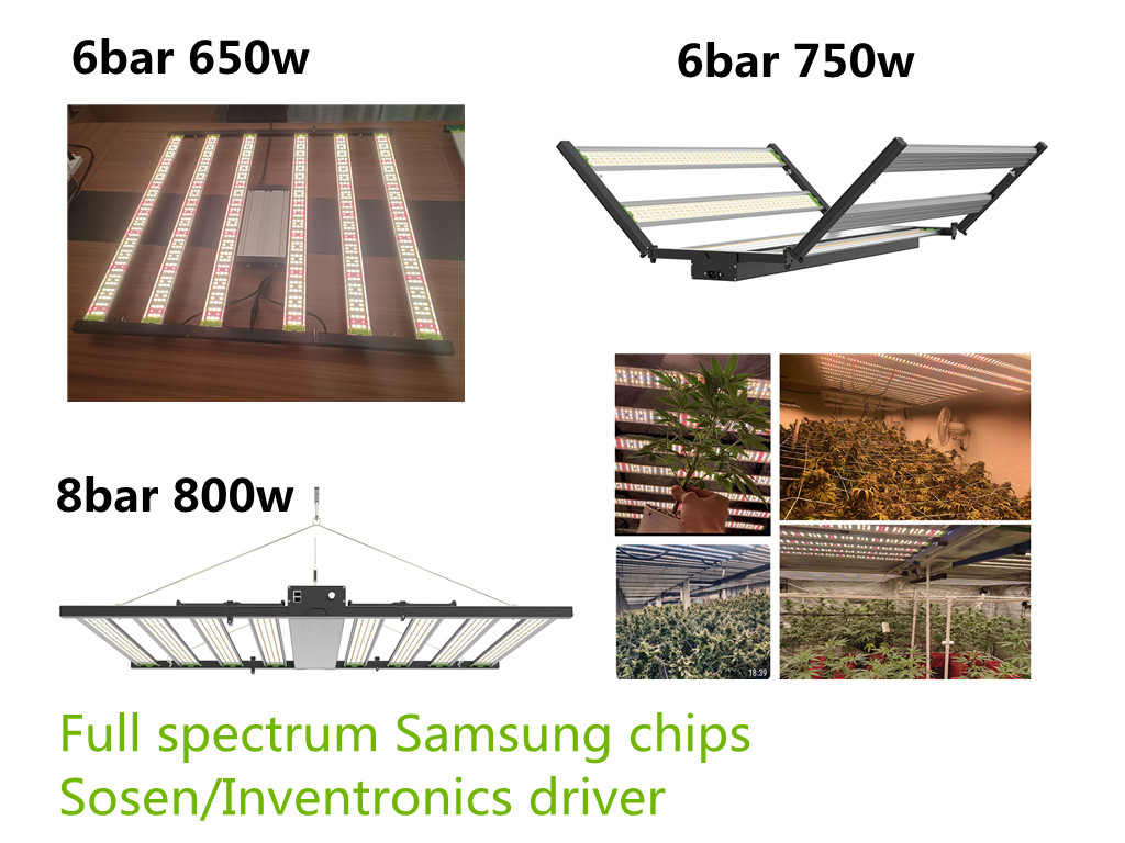 CrystalTangyx's tweet photo. 219usd/pcs, all version for your options
The USA area only!
Free shipping from California warehouse
Limited stock! https://t.co/ExpJvbsGd2