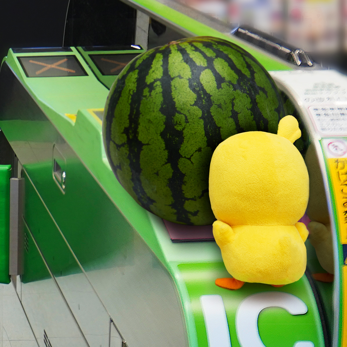 通れないです～ #スイカの日