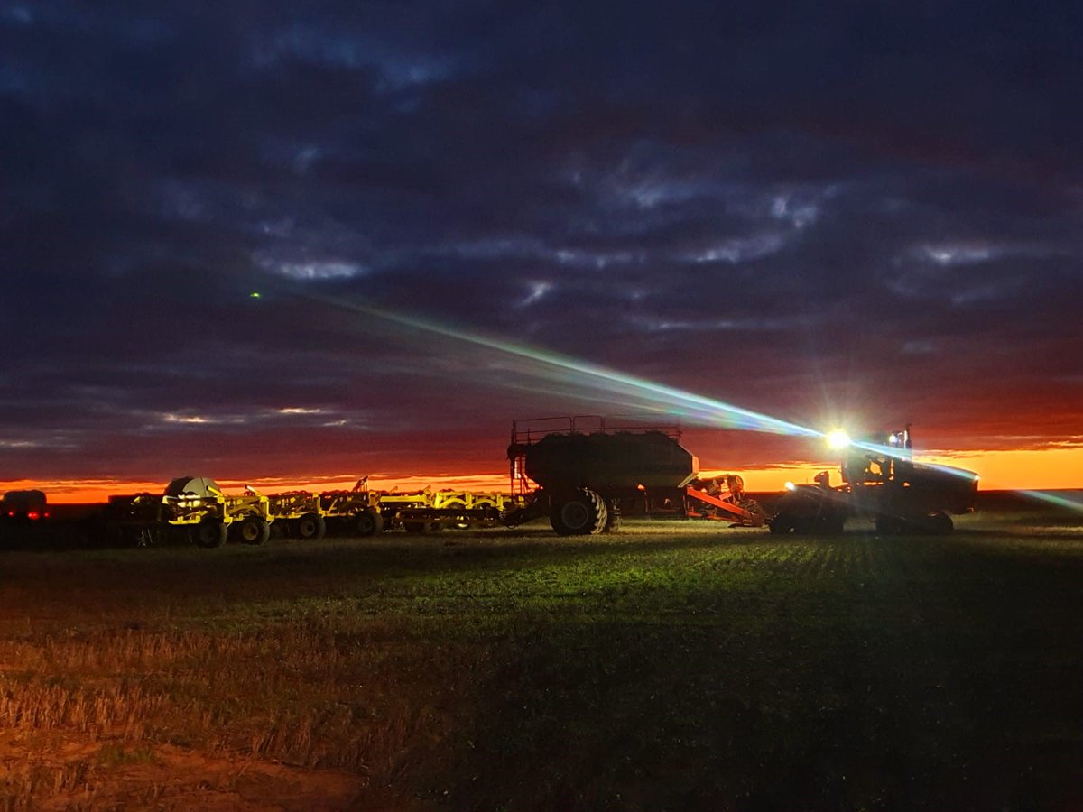 Seed Storm tweet media