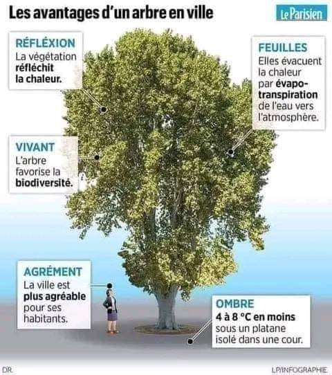 François GARREAU tweet media