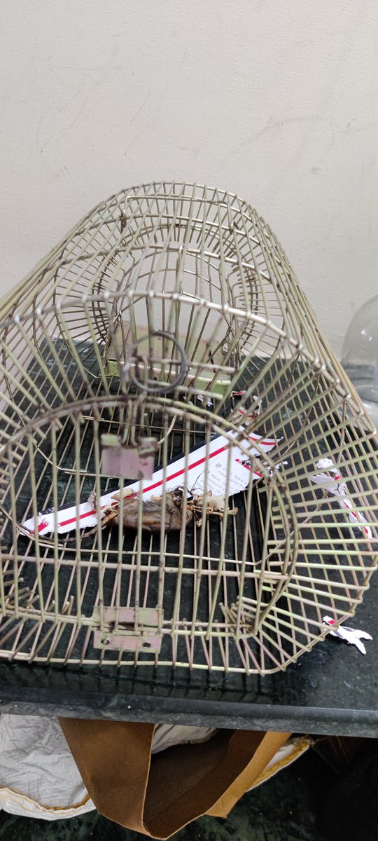 Raman Kumar tweet media