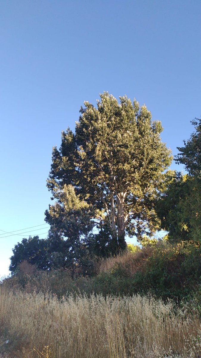 CRahme79's tweet image. My village  #bshare #NaturalBeauty #NaturePhotography #nature