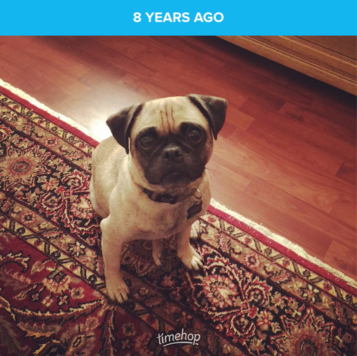 I miss my bestest boy.