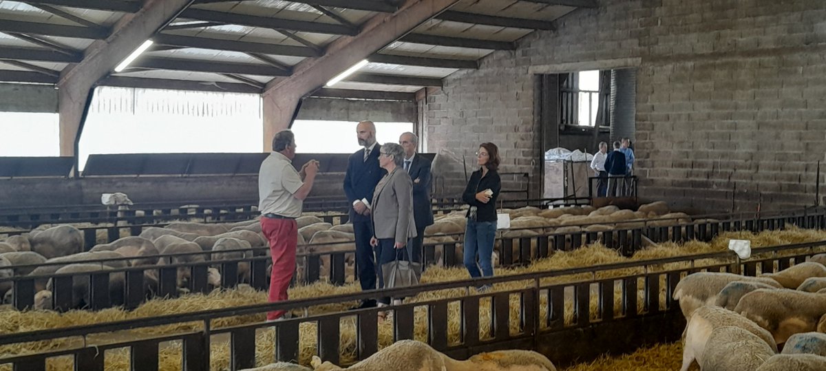 Prefet12's tweet photo. Le préfet a visité le GAEC des Deux Terres, co-dirigé par Pierre Gaillac, éleveur de brebis (668 têtes) à La Loubière et co-président de l'association Pérail (IGP obtenue en 2022), en présence de Magali Bessaou, maire de la commune.
#IGP #perail #pastoralisme https://t.co/aKTvB76MEA