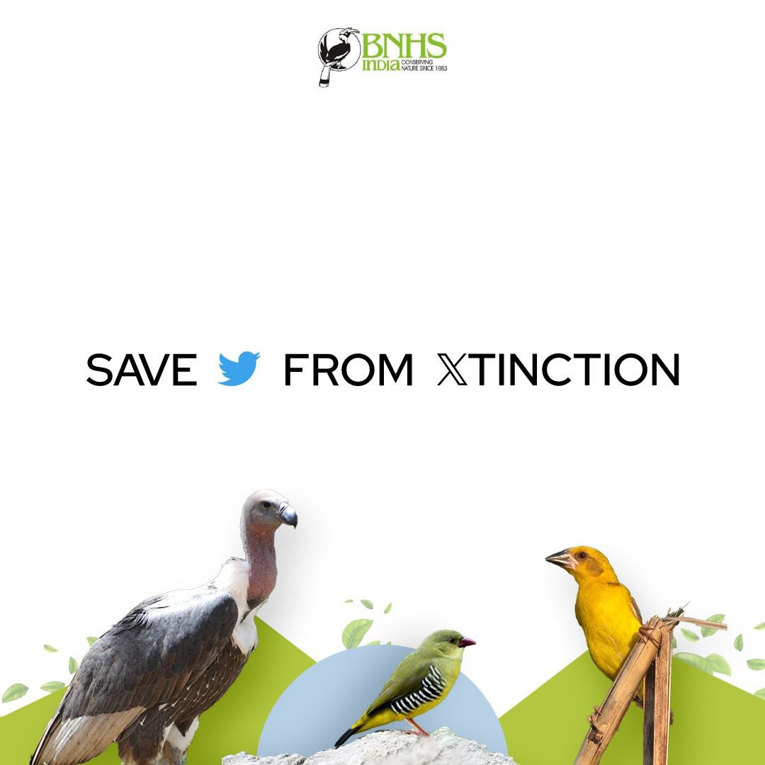 Logos are replaceable, birds aren't.

#SaveOurBirds
#BNHSConservation