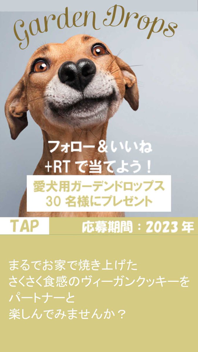 TerracanisJapan's tweet photo. ＼🇩🇪愛犬用ヴィーガンクッキー／
あなたの愛犬はどっち派？

フォロー＆いいねをした30名様に
【ガーデンドロップス】をプレゼント🎁

👉@TerracanisJapan をフォロー

👉この投稿にいいね！

👉さらに #フルーツ派 または #ベジタブル派 をつけて引用RTすると当選チャンスが二倍！ 詳しくは画像TAP📲 https://t.co/tXOiQ6PwMw