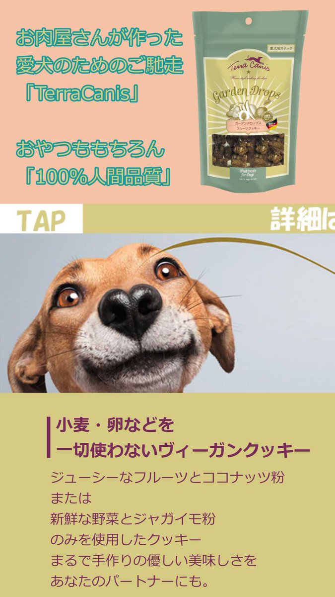 TerracanisJapan's tweet photo. ＼🇩🇪愛犬用ヴィーガンクッキー／
あなたの愛犬はどっち派？

フォロー＆いいねをした30名様に
【ガーデンドロップス】をプレゼント🎁

👉@TerracanisJapan をフォロー

👉この投稿にいいね！

👉さらに #フルーツ派 または #ベジタブル派 をつけて引用RTすると当選チャンスが二倍！ 詳しくは画像TAP📲 https://t.co/tXOiQ6PwMw