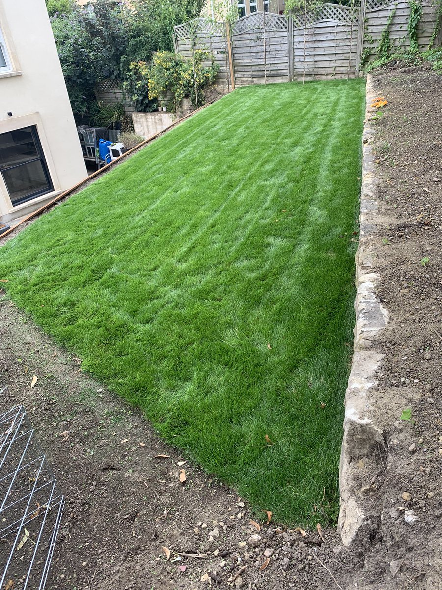 thebathgardener's tweet photo. New entry for #patchoftheweek Normally I say allow 4-6 wks before first cut of new lawn this one was ready in 2! Some perks to this bloody weather hey @mowermanjimmy https://t.co/g1Gn2txy52