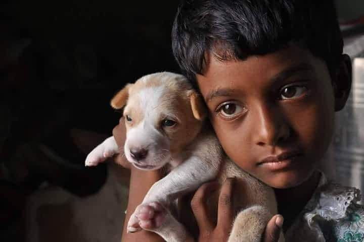 solai_ra_ja's tweet photo. நாம் கொண்ட அன்பின் வெளிப்பாட்டில் அழுகையைப் போல நம்மை திருப்தியடையச் செய்வது வேறில்லை. https://t.co/mrgWqej8RA