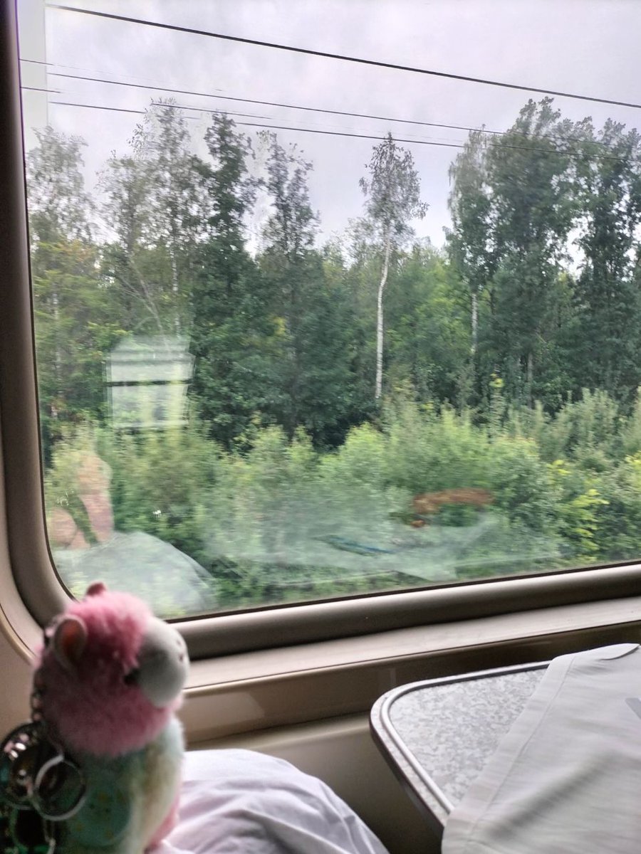 Mark Way🥺 tweet media