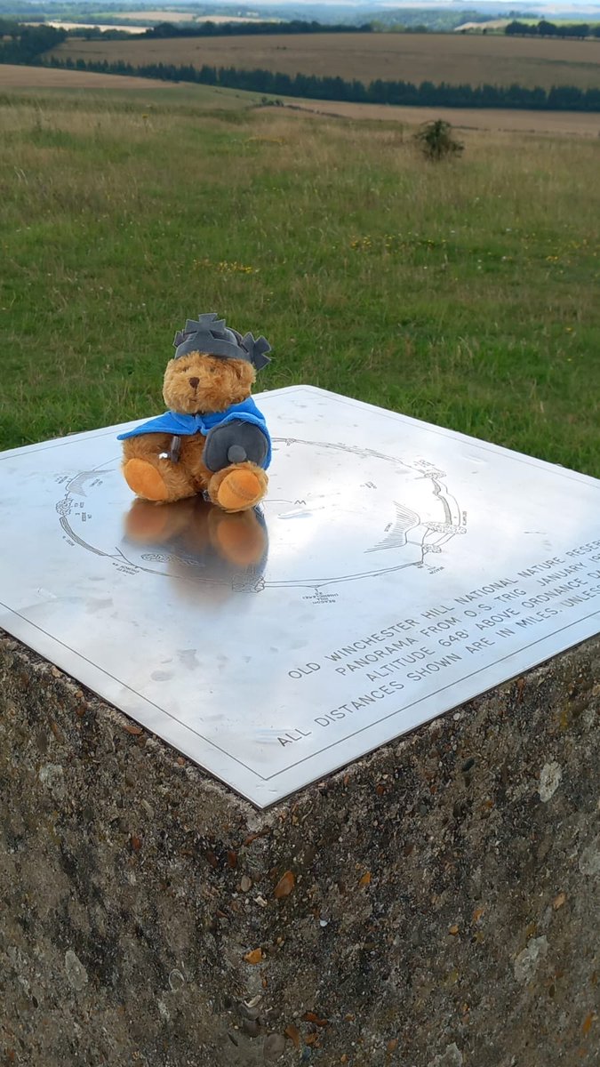 lanajaz's tweet photo. Alfred took us on a walk in the South Downs yesterday. Especially loved seeing Old Winchester Hill, an Iron Age hill fort built in 250 BC, incorporating 4(!) bronze age barrows! @King_Alf https://t.co/yxrHtaTz73