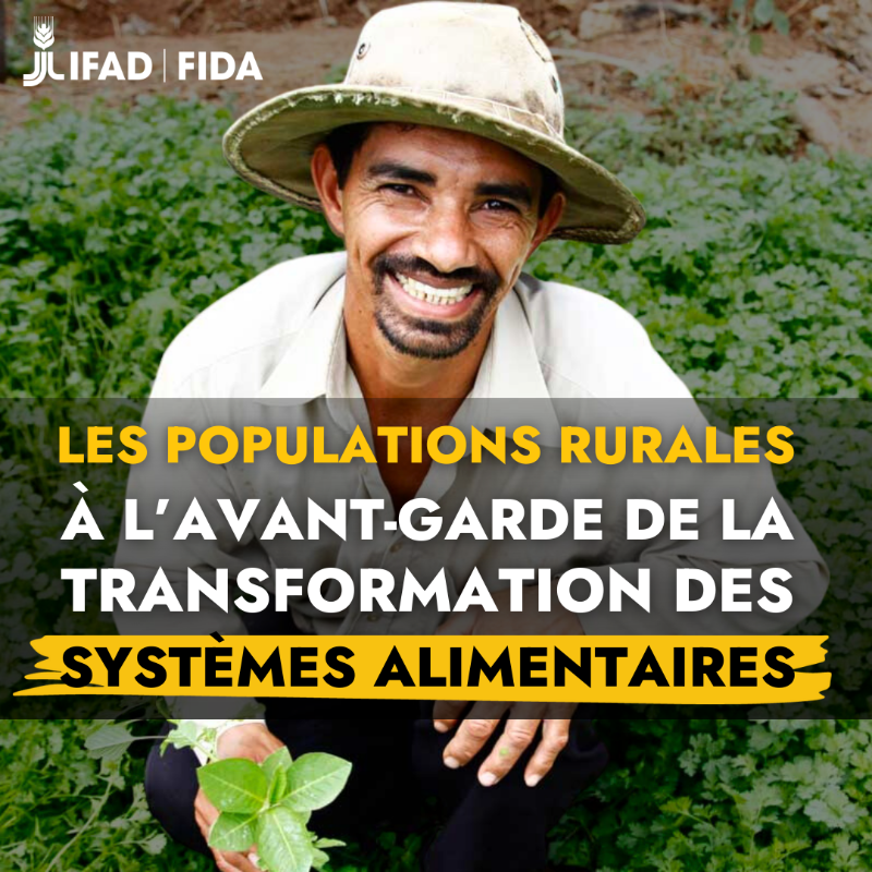 leFIDA's tweet photo. Partout dans le 🌍 petits producteurs et productrices des zones rurales s'emploient à révolutionner nos #SystèmesAlimentaires.

Pour le bien de notre santé, de la planète et des populations rurales les plus pauvres.

Il est temps de faire les choses autrement…