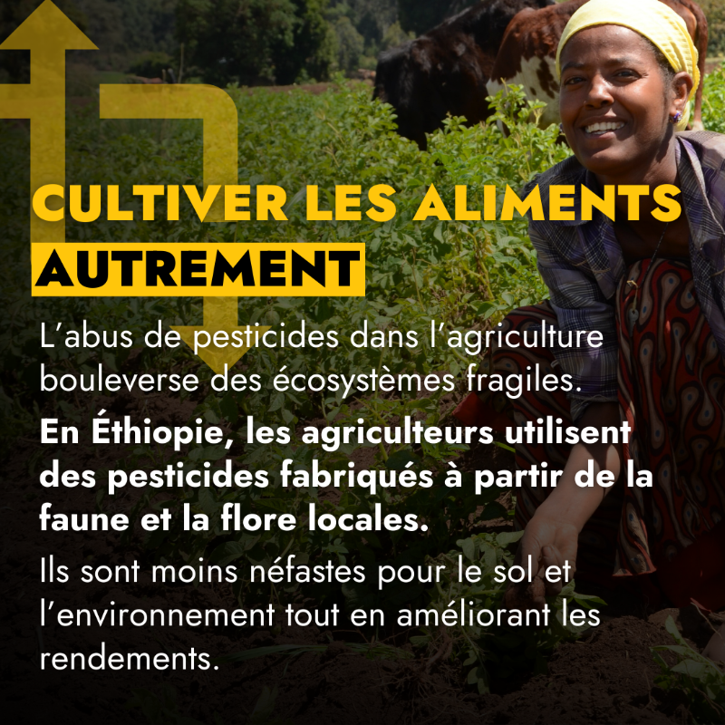 leFIDA's tweet photo. Partout dans le 🌍 petits producteurs et productrices des zones rurales s'emploient à révolutionner nos #SystèmesAlimentaires.

Pour le bien de notre santé, de la planète et des populations rurales les plus pauvres.

Il est temps de faire les choses autrement…