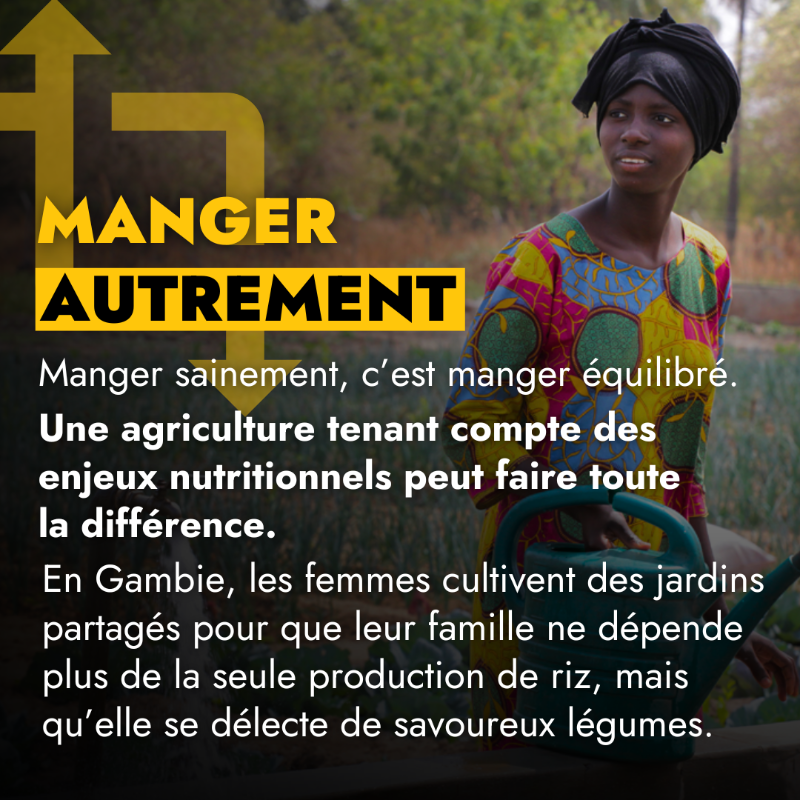 leFIDA's tweet photo. Partout dans le 🌍 petits producteurs et productrices des zones rurales s'emploient à révolutionner nos #SystèmesAlimentaires.

Pour le bien de notre santé, de la planète et des populations rurales les plus pauvres.

Il est temps de faire les choses autrement…