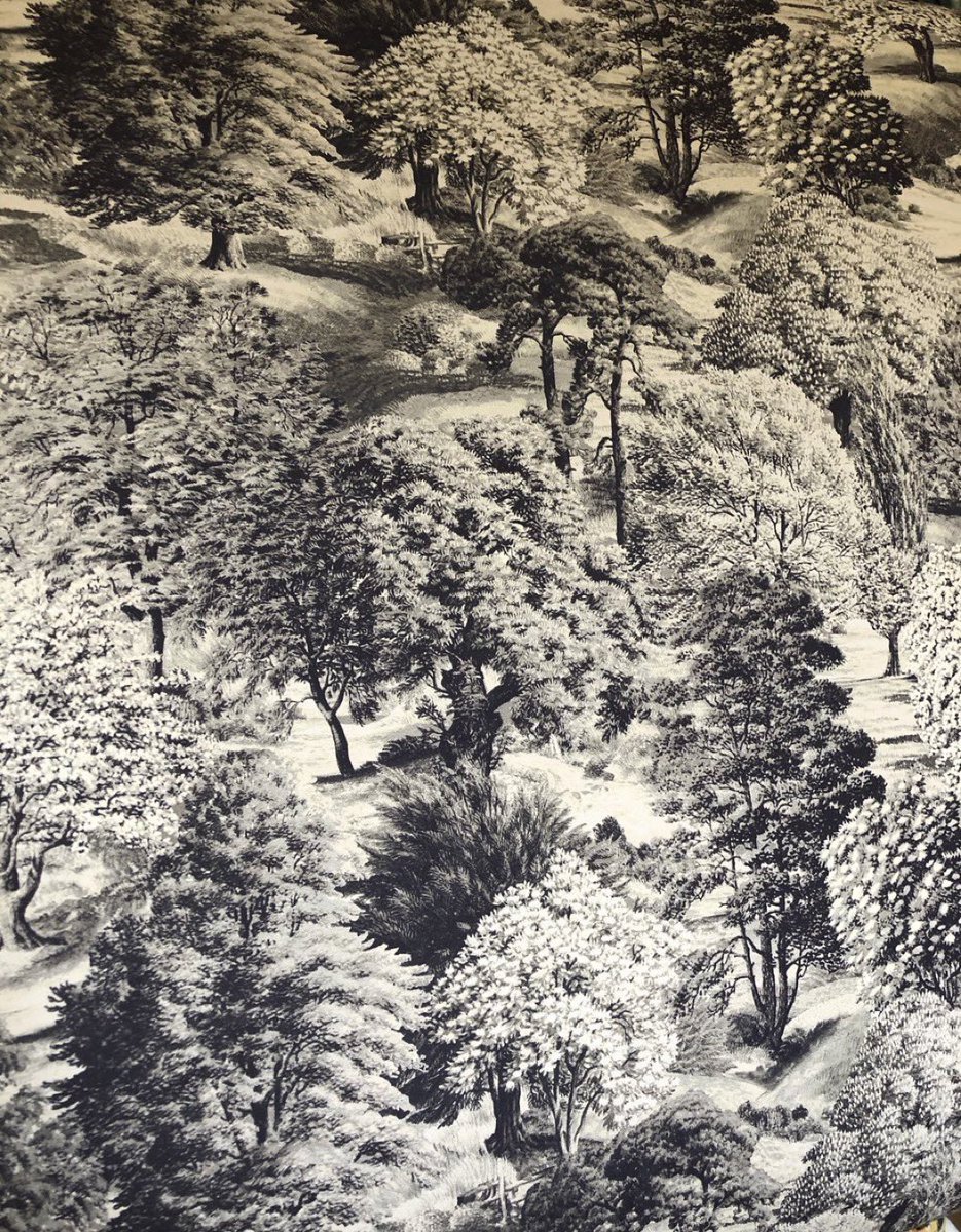 Once upon a time, the shop Liberty sold a wallpaper based on the Ladybird book ‘Trees’. 
It was too expensive for me then - and is not stocked now. 

But a kind lady on Instagram found she had a piece in the attic - and sent it to me! 😊😊