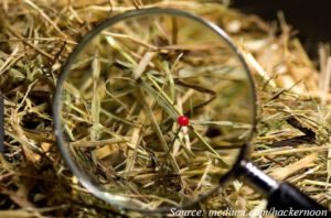 What is you favorite method or technology to measure the amount of a specific protein in a complex mixture ? We are curious to hear about advances on finding the proteins in the “haystack” at high speed #Proteins #Enzymes #Synbio