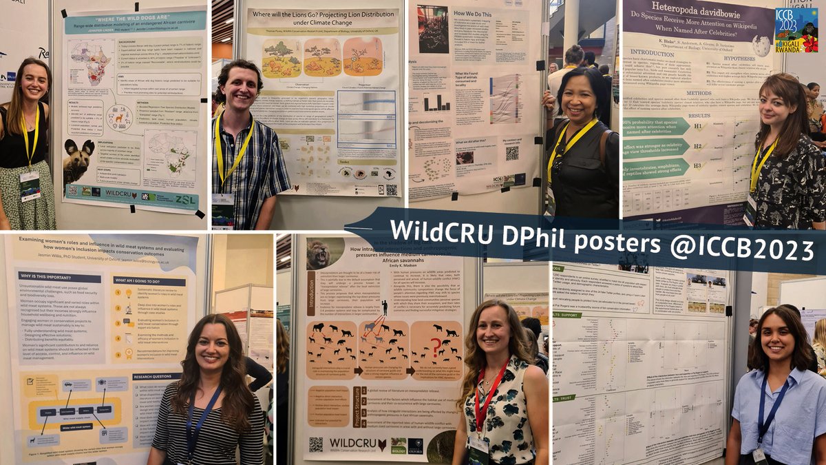 WildCRU_Ox's tweet photo. 7 posters presented by WildCRU DPhil researchers at #ICCB2023.
Reach out to them to learn more about their work!
Pictured clockwise:
@JenFLinden, @tompavey_, @wpusparini, @katieblake25, @laurenrudd18, @EK_Madsen, @JasminEllaW. https://t.co/DKD7tsCWZF