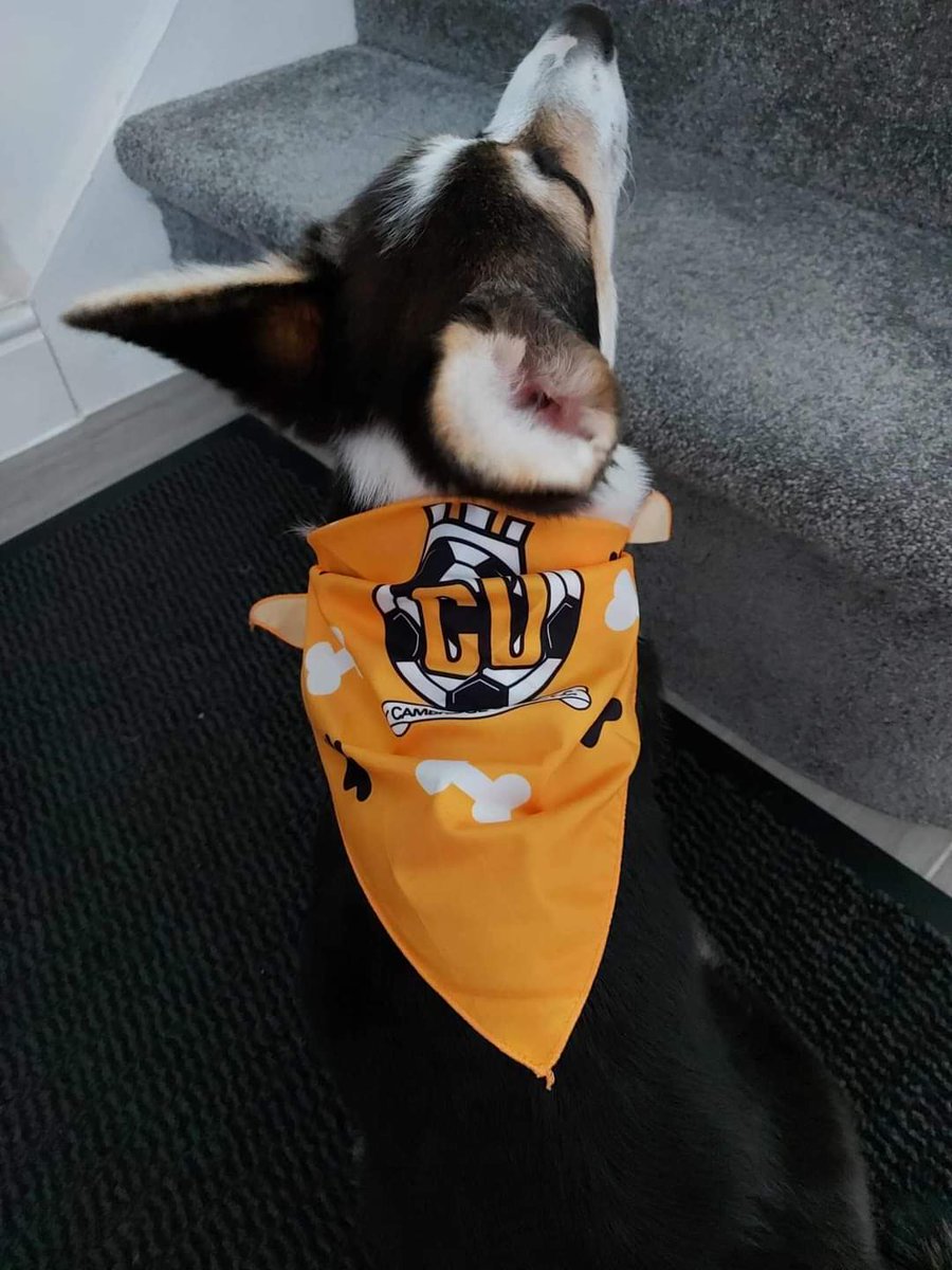 Abbey ready to support <a href="/Harrisondunk11/">Harrison Dunk</a> and <a href="/CambridgeUtdFC/">Cambridge United FC</a> in style.