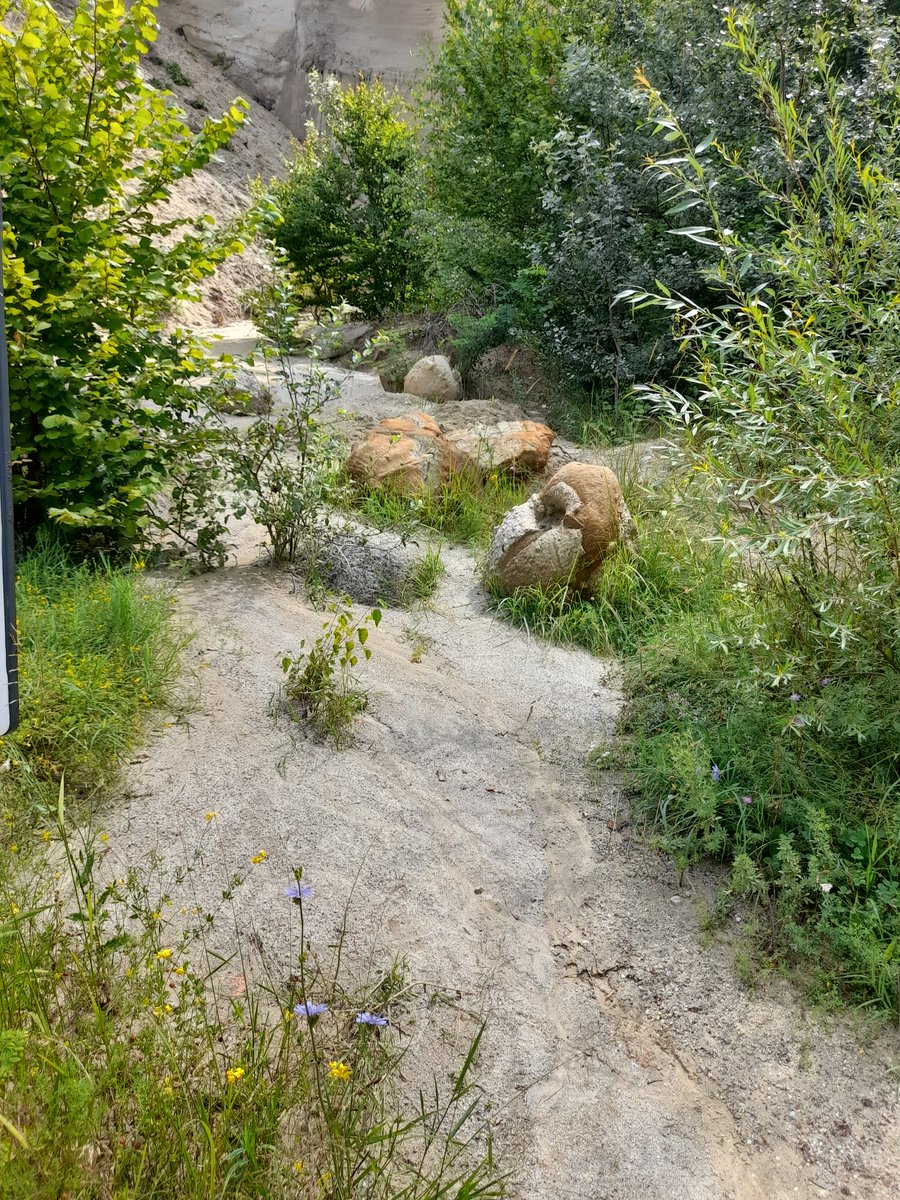 CClementa's tweet image. Trovantii de la Costești
#Romania