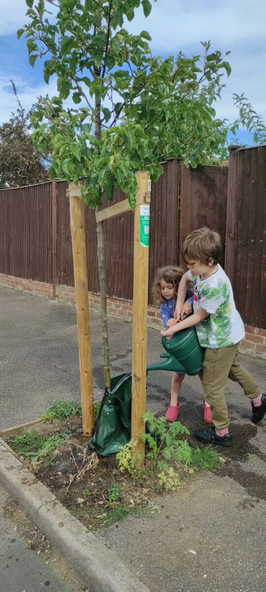 It's #WateringWednesday - ALL young street trees 🌳need a weekly drink 🚿

Join a growing movement of residents who do that bit extra to help look after their new trees 🧑‍🤝‍🧑🌳🚿👍

Yes, your council waters, but this isn't always enough. Your help WILL make all the difference 🙏🙏