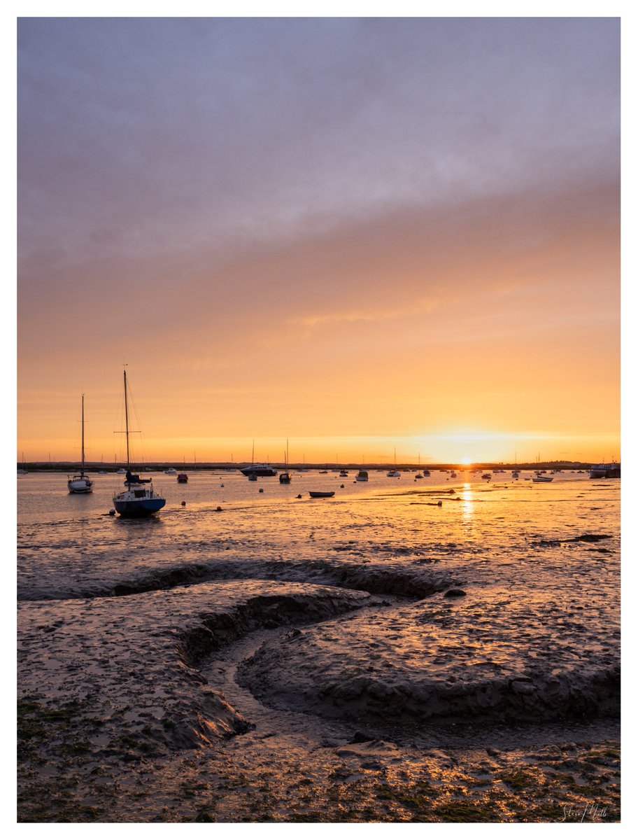 Shaun Mills tweet media