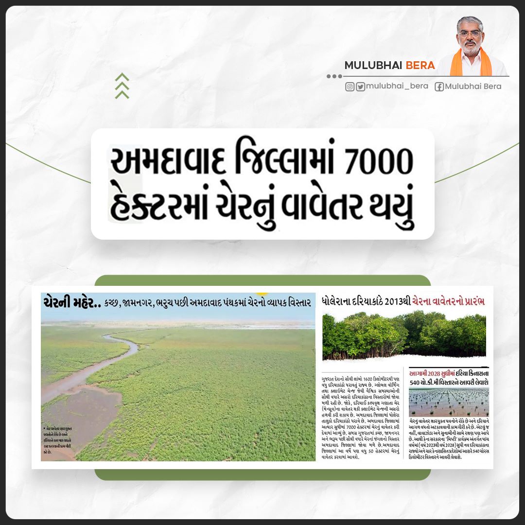 Mulubhai_Bera's tweet image. ચેરના વાવેતરથી પ્રકૃતિ સંરક્ષણમાં અગ્રેસર બનતું ગુજરાત...!

દરિયાઈ વિસ્તારોમાં ક્લાઈમેટ ચેન્જના કારણે થતી અસરોને અટકાવવા અર્થે સરકાર દ્વારા #MISHTI પ્રોજેકટ અંતર્ગત ચેરના જંગલોનો વ્યાપ વધારવામાં આવી રહ્યો છે, ત્યારે અમદાવાદ જિલ્લામાં જ 7000 હેક્ટર જમીનમાં ચેરનું વાવેતર થયું છે.