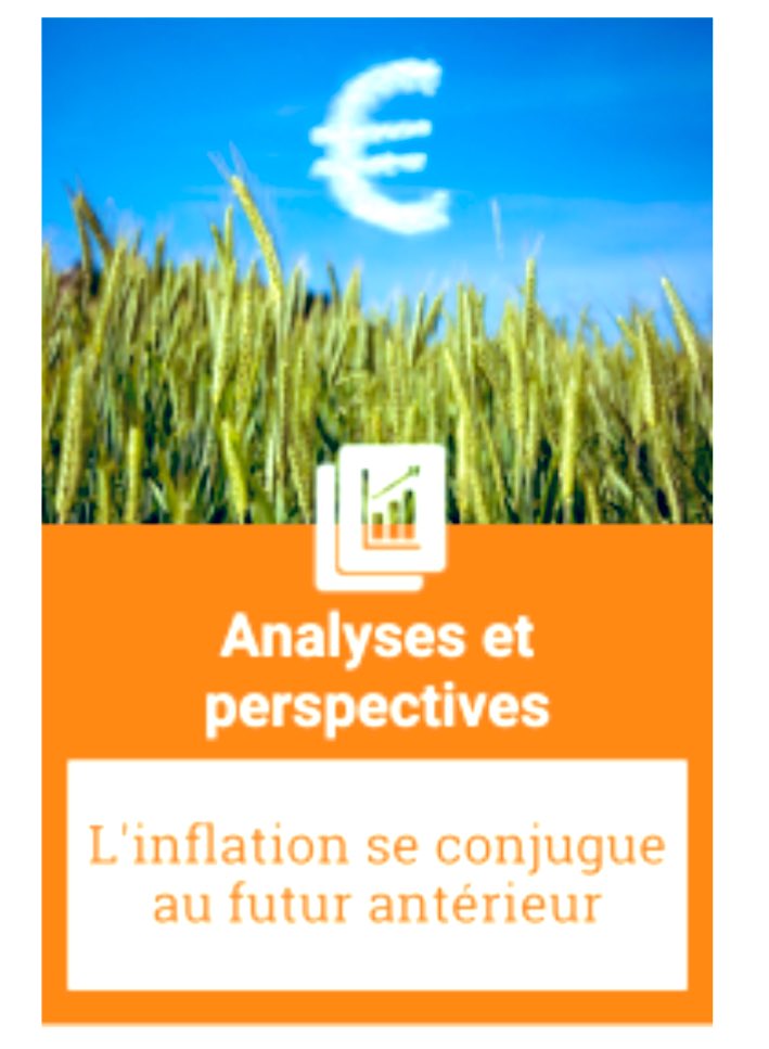 AgenceRDN's tweet photo. Must read 🔎 Note d’analyse de @ChambagriFrance sur l’#inflation, nouveau #défi pour les acteurs économiques, les Etats, les économistes #pandémie  #guerre #énergie #transitions ? ➡️Quelles conséquences sur la #consommation alimentaire des Français ?  https://t.co/Hx6ybiQs5v https://t.co/Hkr1Oj4QC3