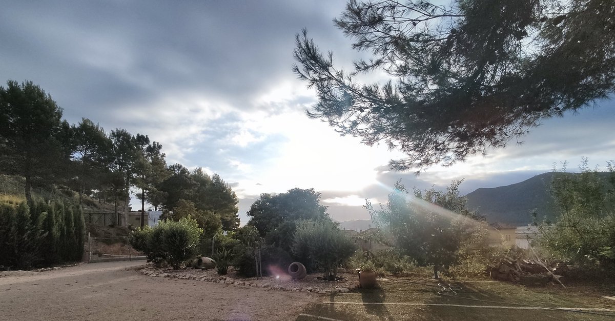 Pep Muñoz Rubio 🍊 tweet media