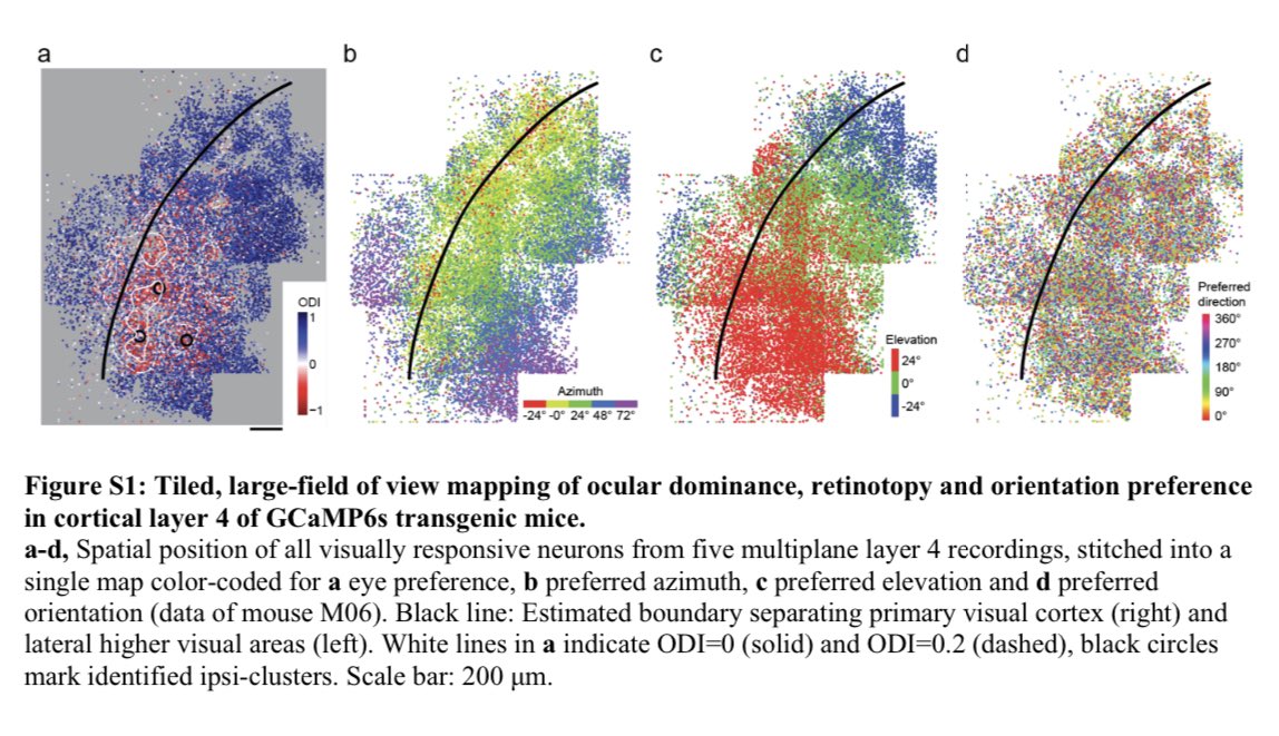 Mackenzie Weygandt Mathis, PhD tweet media