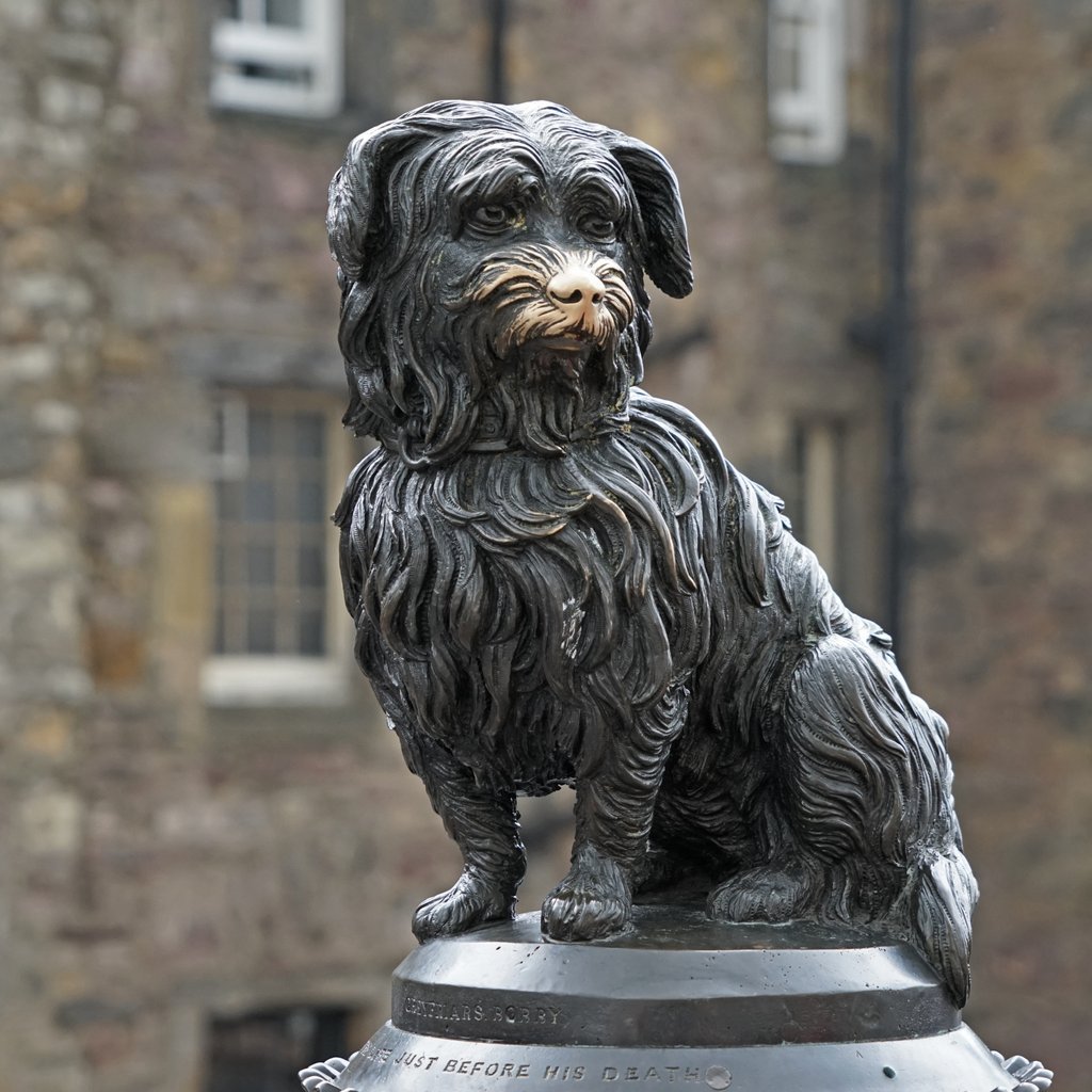 The Edinburgh Address / Adore Scotland tweet media