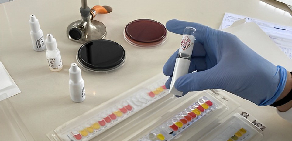 🔎Consulta la nueva Memoria de actividades del Centro de Análisis y Diagnóstico de la Fauna Silvestre (#CAD) donde se recogen las actuaciones realizadas en 2022 🔬 para ayudar a proteger la #fauna silvestre 🦅 de #Andalucía ➡ lajunta.es/4aolu

#biodiversidad