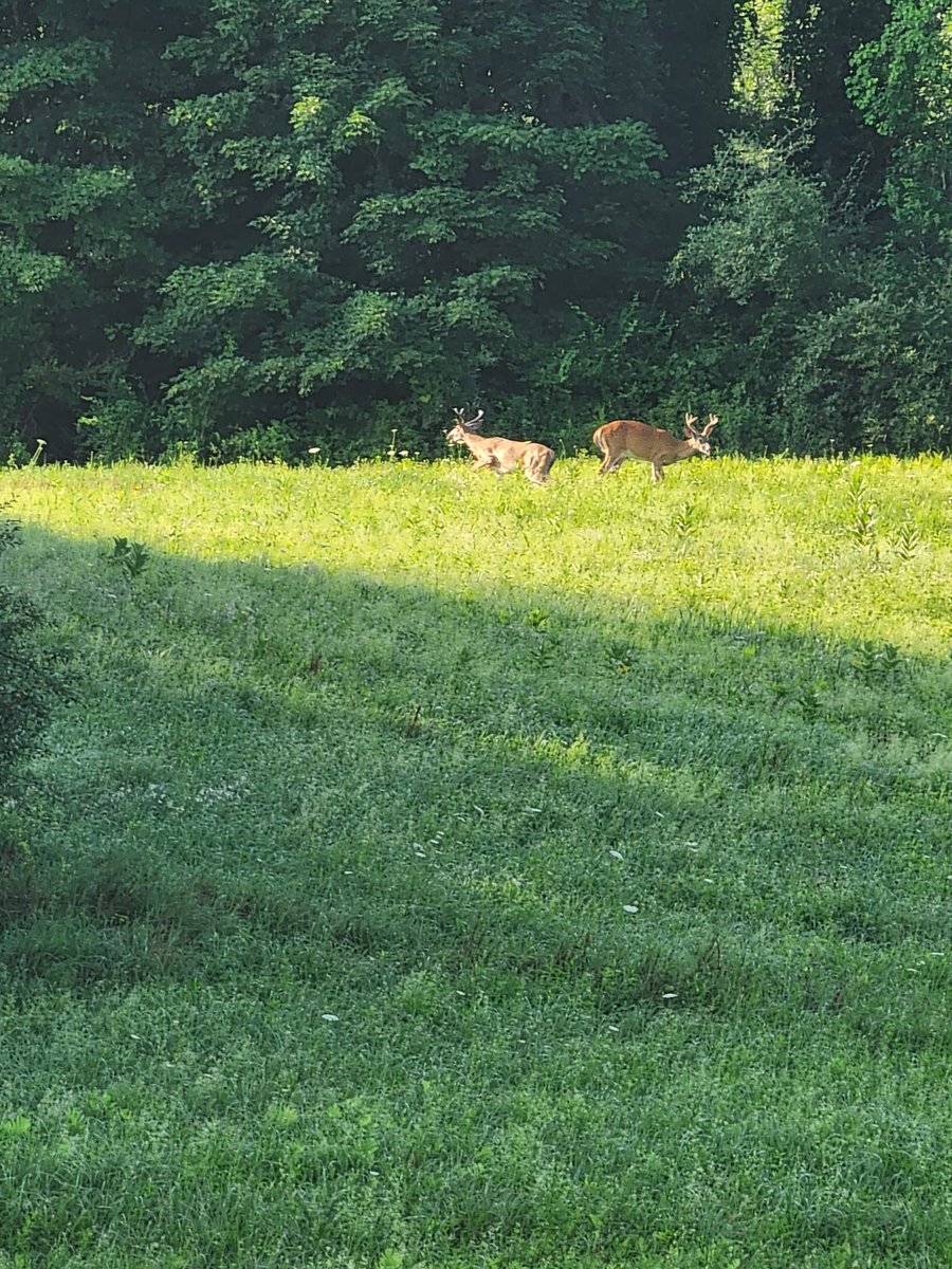 Barbara jeff tweet media