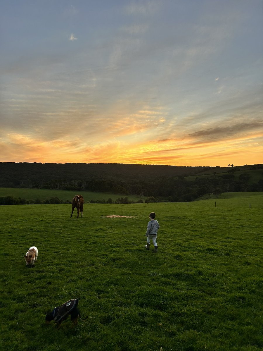 twobaysfarm's tweet photo. These winters days aren’t so bad #lookslikespring #mornpen #broodmarechecks https://t.co/Dx04zaqVCJ
