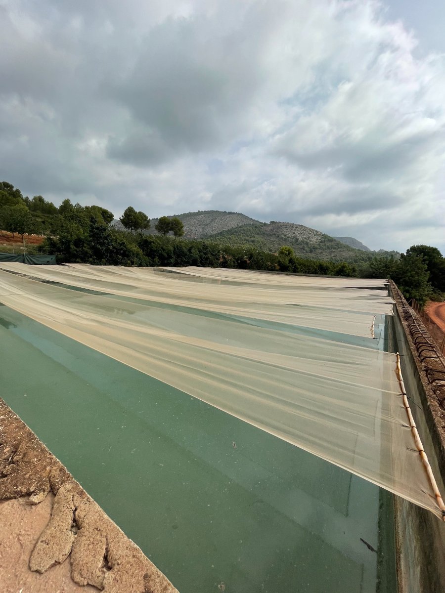 LandatuSolar's tweet photo. 👉 The other day we were visiting one of the upcoming #floating #installations with our #Lamaru system! 😎
👉 ¡El otro día estuvimos visitando una de las próximas #instalaciones #flotantes con nuestros sistema #Lamaru! 😎 https://t.co/oTS7KRW42X