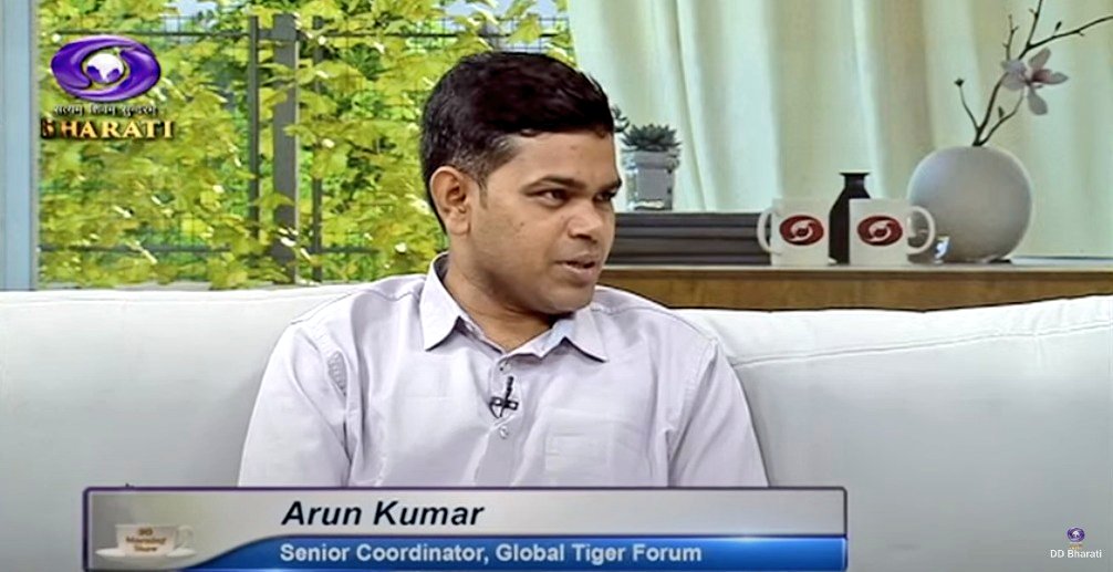 Global Tiger Forum tweet media