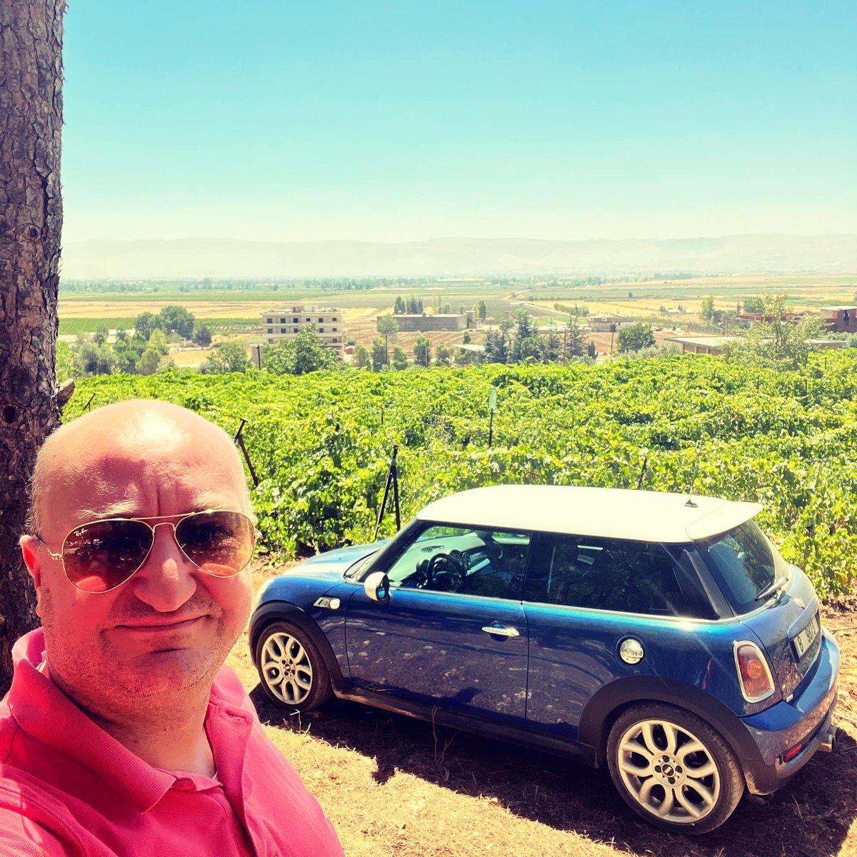 jotouma's tweet photo. Annual #Harvest picture 2023, looking forward to a promising #vintage @ChateauStThomas 
Getting ready for it!! Few weeks to go 🍇🍷#harvestinstyle #minicooper https://t.co/cHVRdwK07H